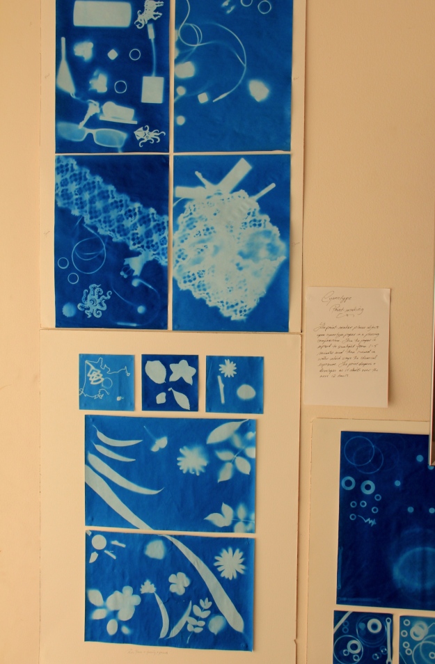 Cyanotypes by Djazia Ladjal, Blair Conn and the family Rodrigues (bottom)